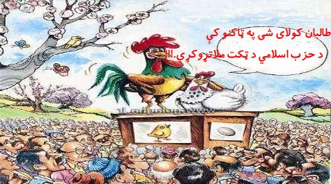 کشر مرشد اودچرګ غوړه شوروآ !