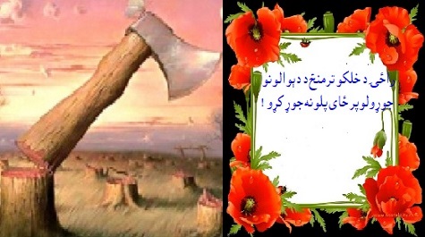 راځی ددیوالونو پرځای پلونه جوړ     او دنفرت پرځای محبت راولـــو!